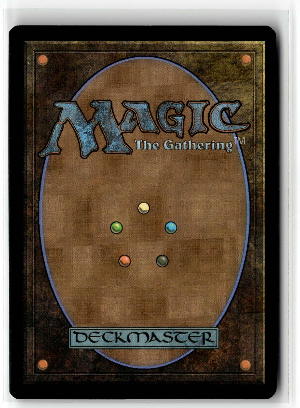 Savage Beating 0026 Borderless Spider Man MTG Magic The Gathering Card NM