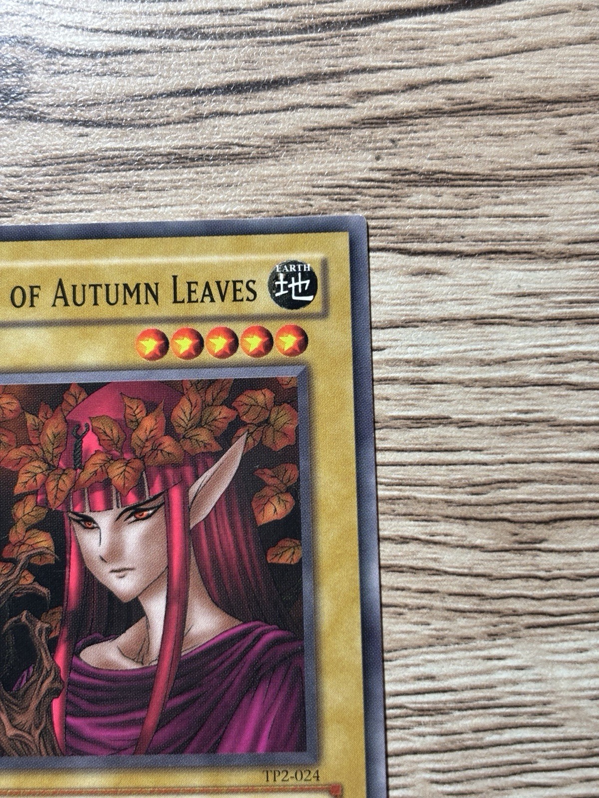 Queen of the Autumn Leaves TP2-024 Tournament Pack 2 LP Yu-Gi-Oh! TP2-024