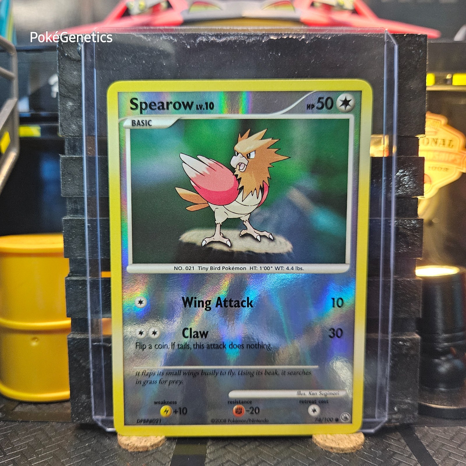 Spearow Majestic Dawn Reverse Holo Pokémon TCG 74/100 Diamond & Pearl Common
