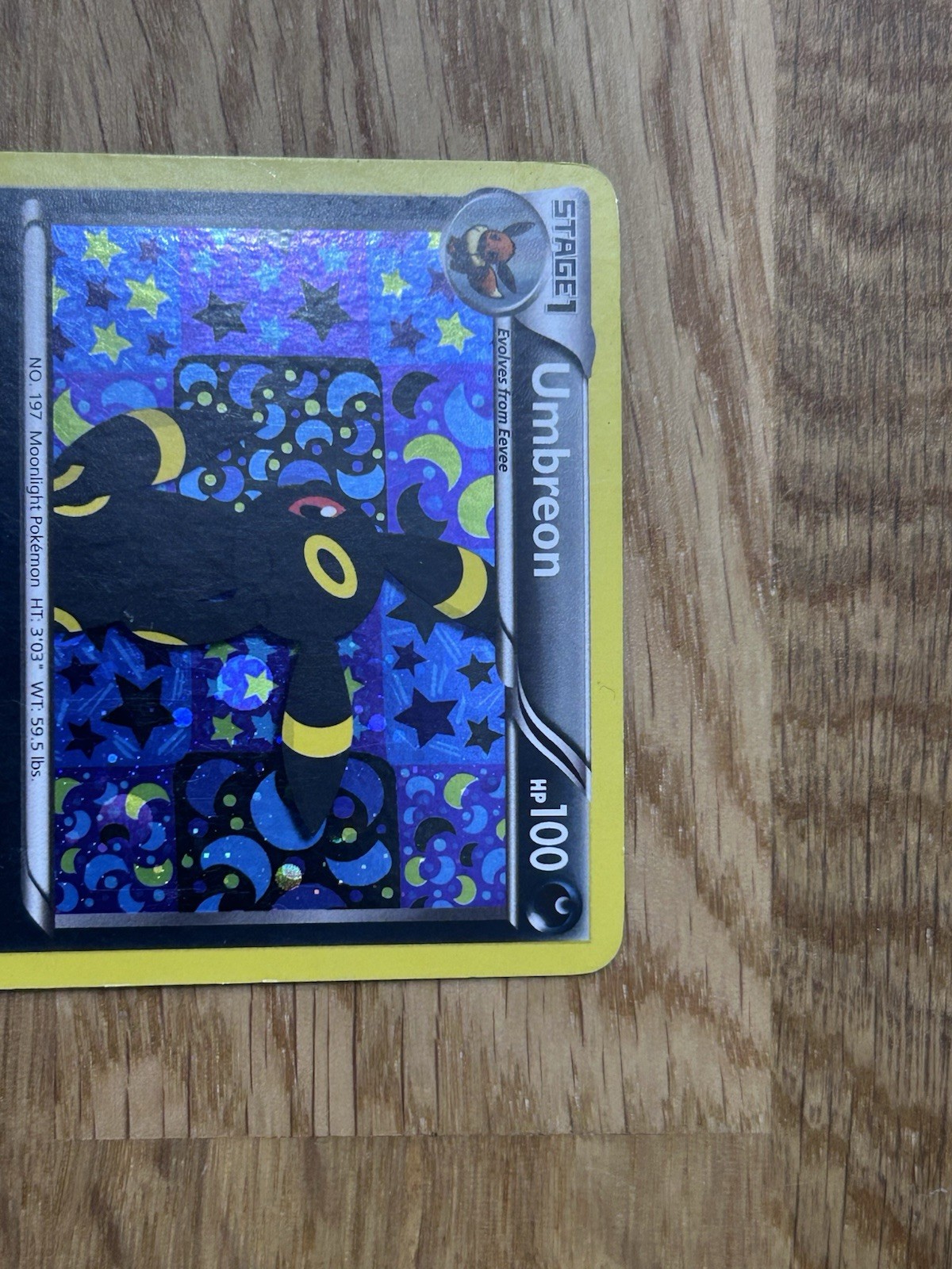 2013 Pokemon Black White Promo Umbreon BW93 Sylveon Collection Holo MP? LP? HP?