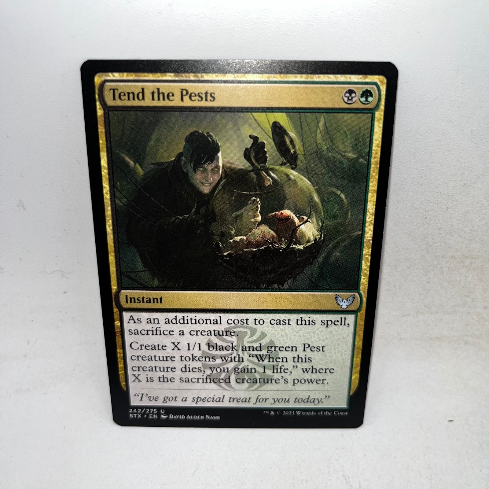 Tend the Pests 242 Uncommon Strixhaven: School of Mages Magic: The Gathering LP