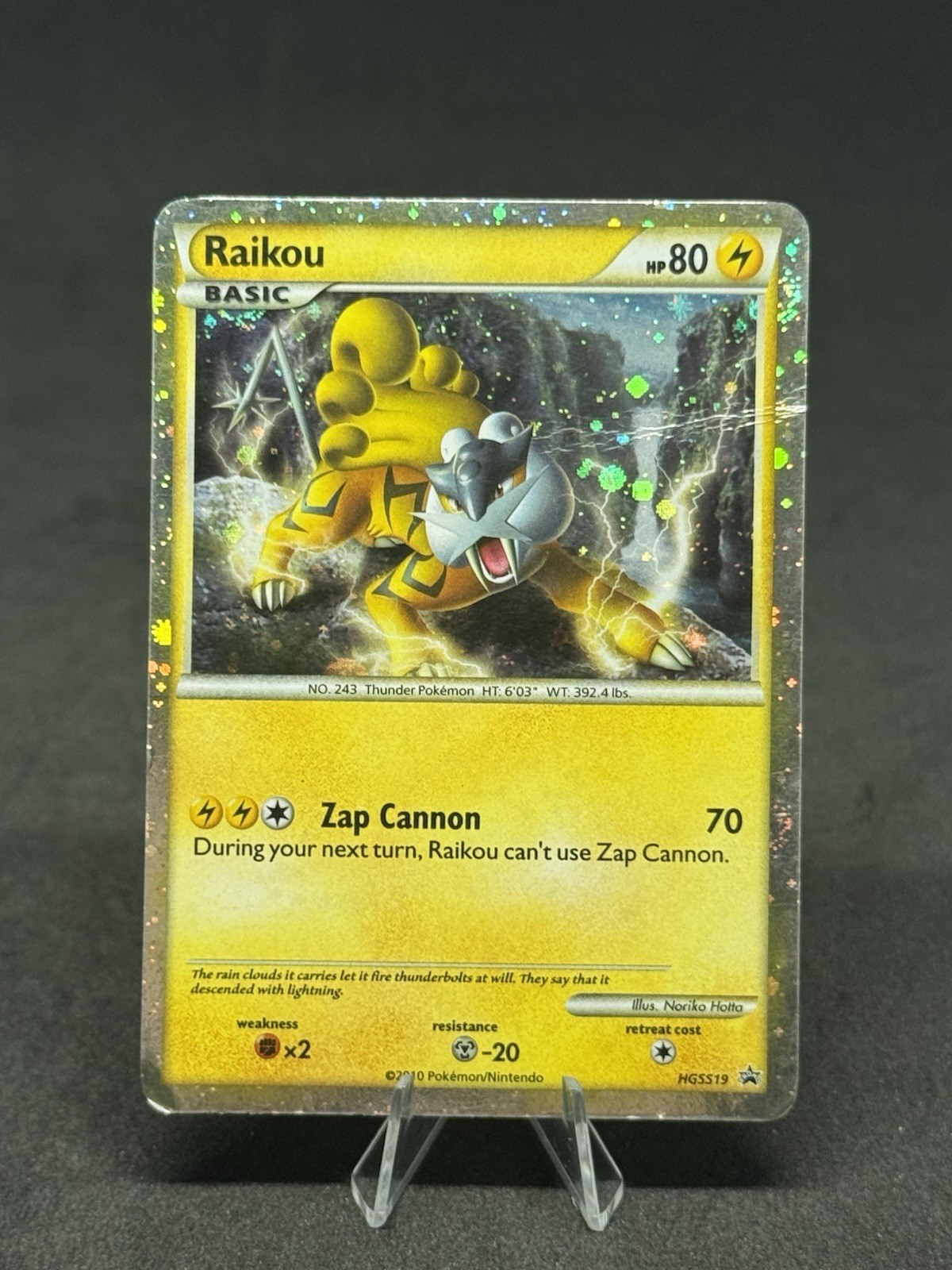 Raikou HGSS19 Hgss Holo