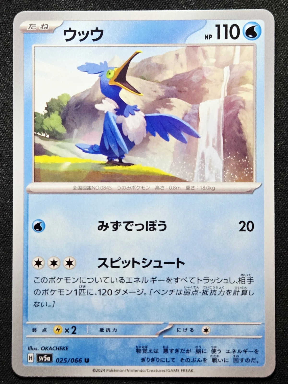 Cramorant 025/066 sv5a Crimson Haze 2024 Pokémon TCG Japanese