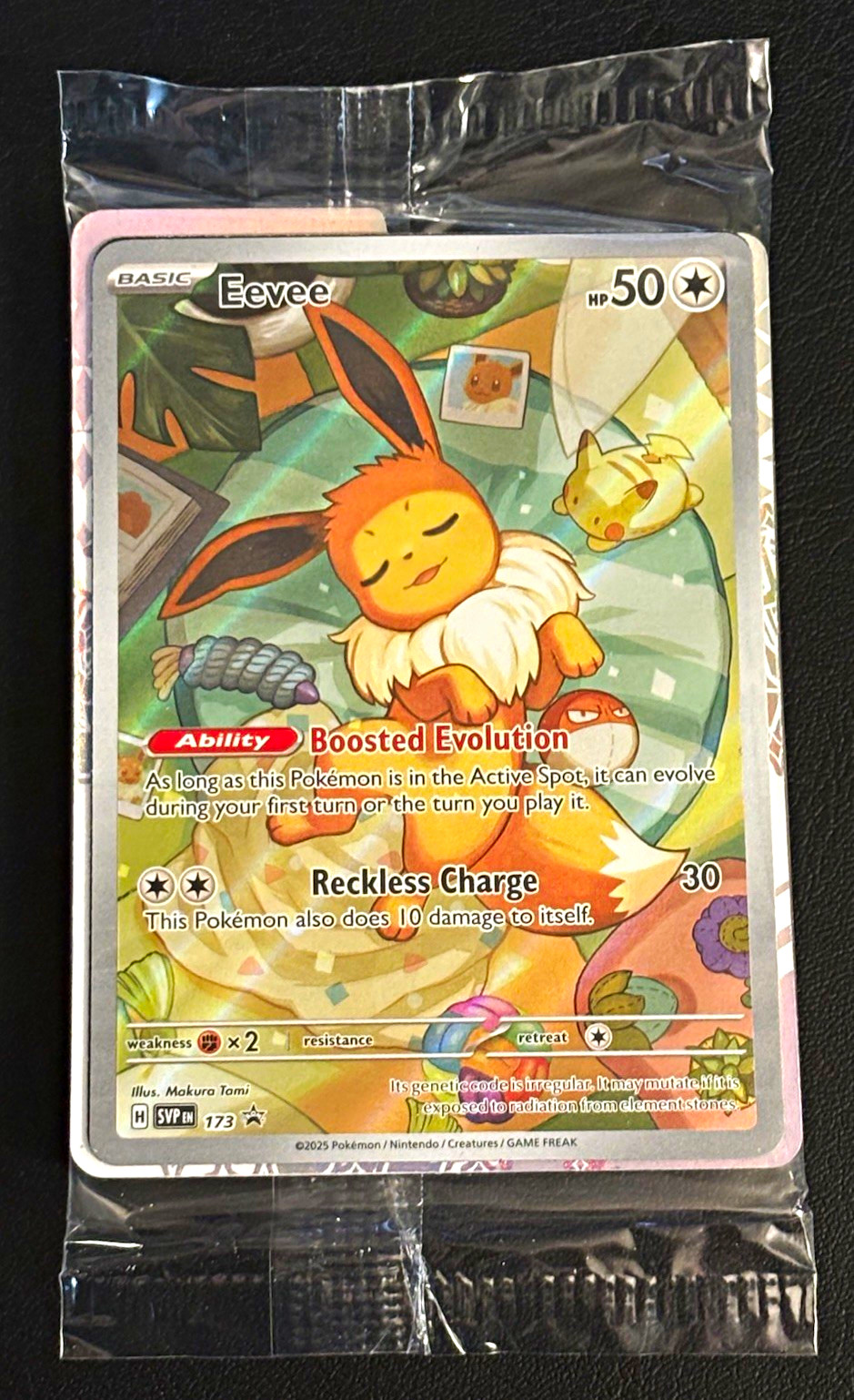 Pokémon TCG Eevee 173 Sv Promo Holo English Makura Tami SEALED