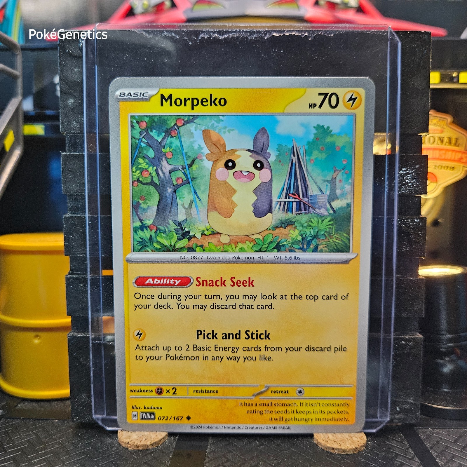 Morpeko Twilight Masquerade Pokémon TCG 072/167 Scarlet & Violet SV06 Uncommon