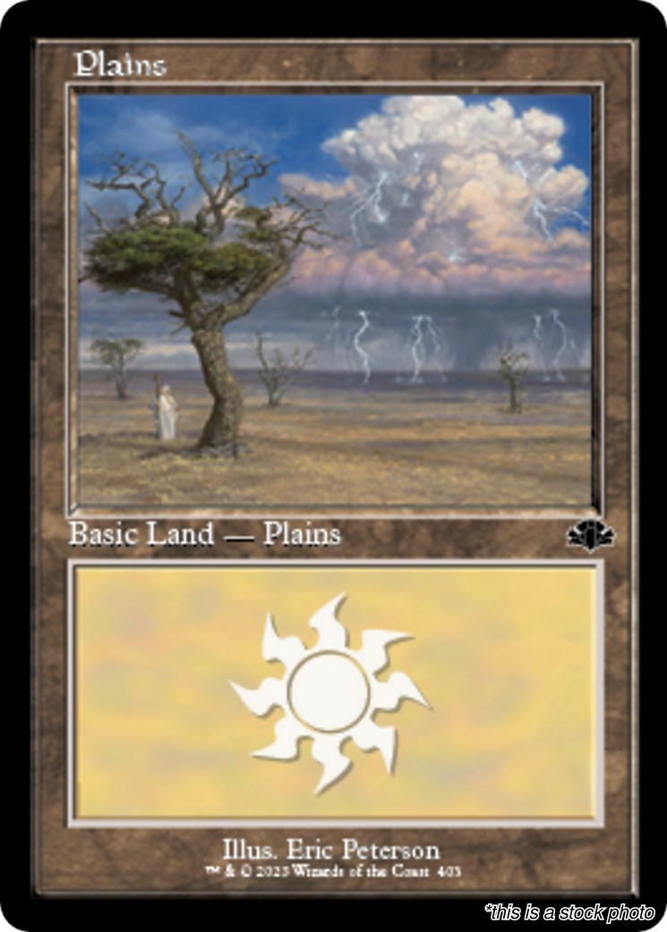 MTG Plains (Retro Frame) [DMR – 403] LP