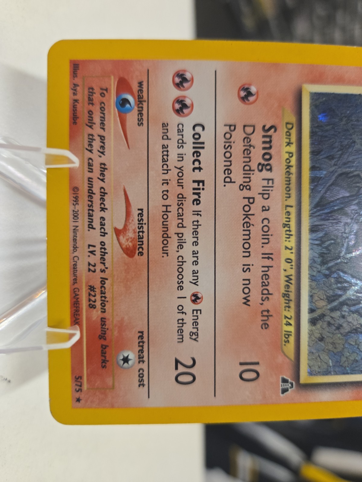 Houndour – Holo Rare Neo Discovery
