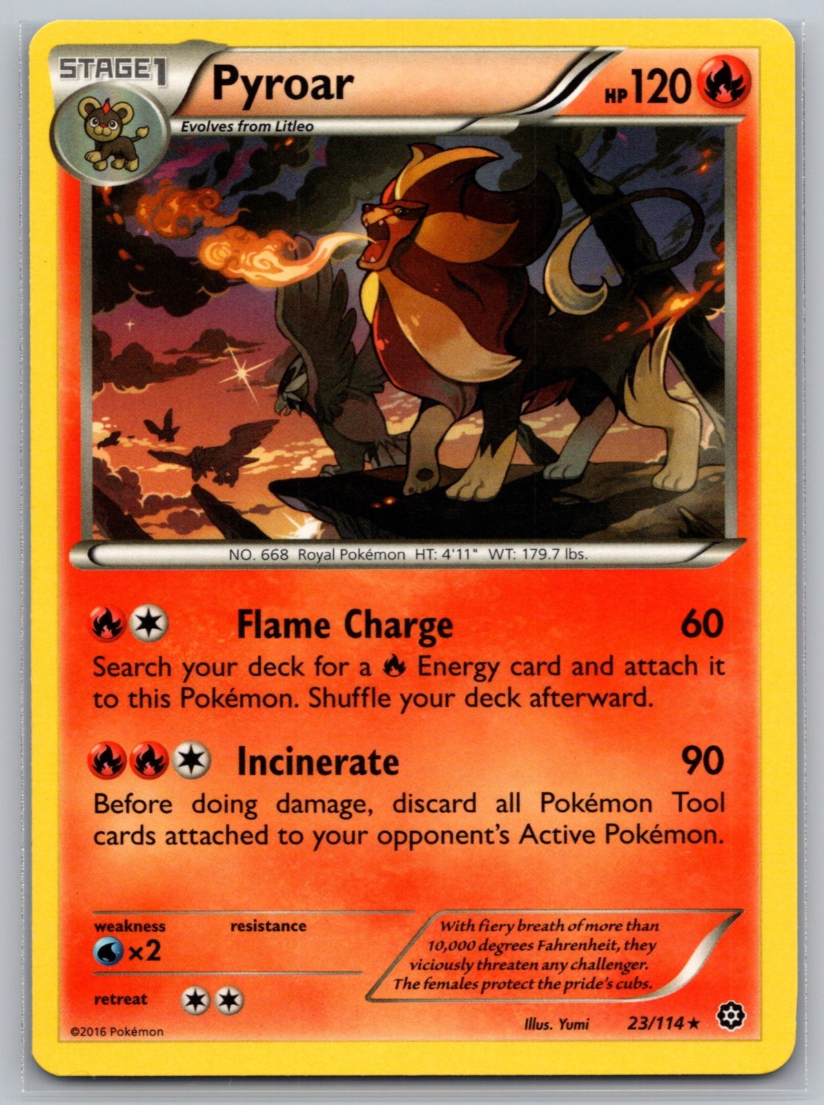Pyroar & Braviary~Cameos & Hidden Pokemon Gallery~ Pokemon Cards~