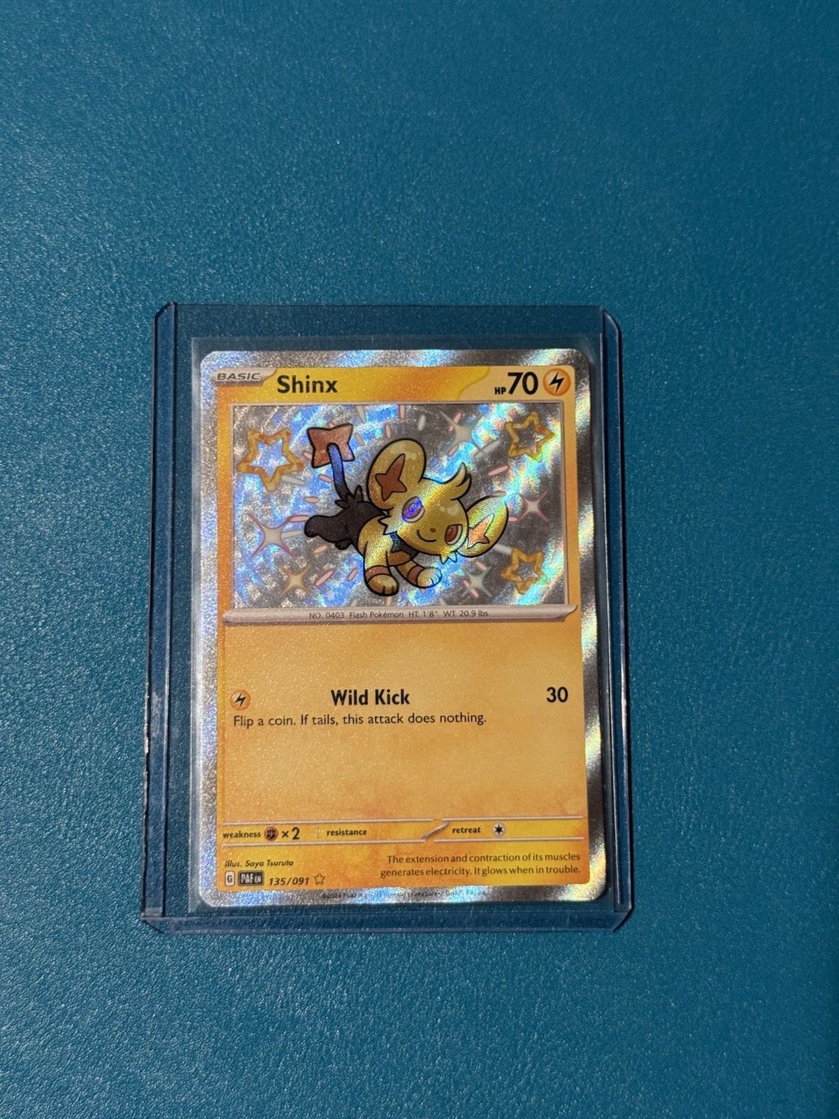 Shinx 135/091 SV: Paldean Fates Holo