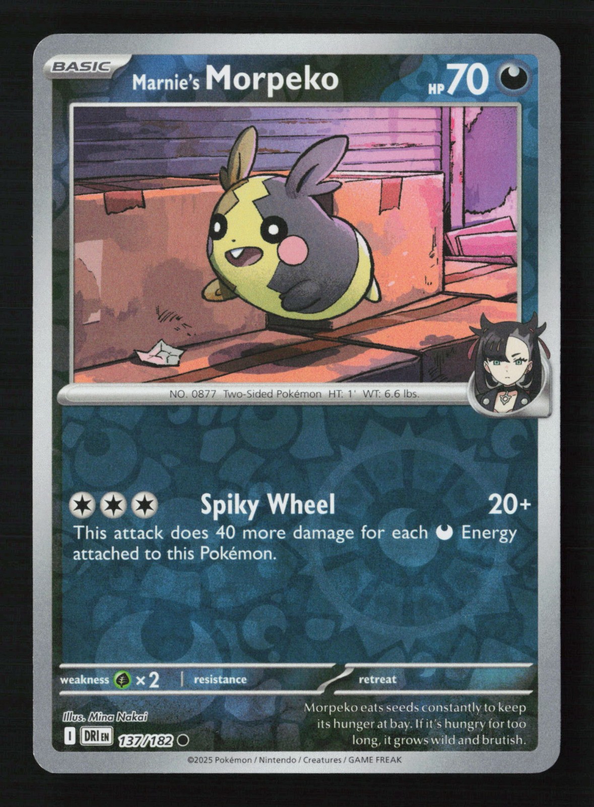 Marnie’s Morpeko 137/182 Reverse Holo Pokemon TCG SV10: Destined Rivals NM