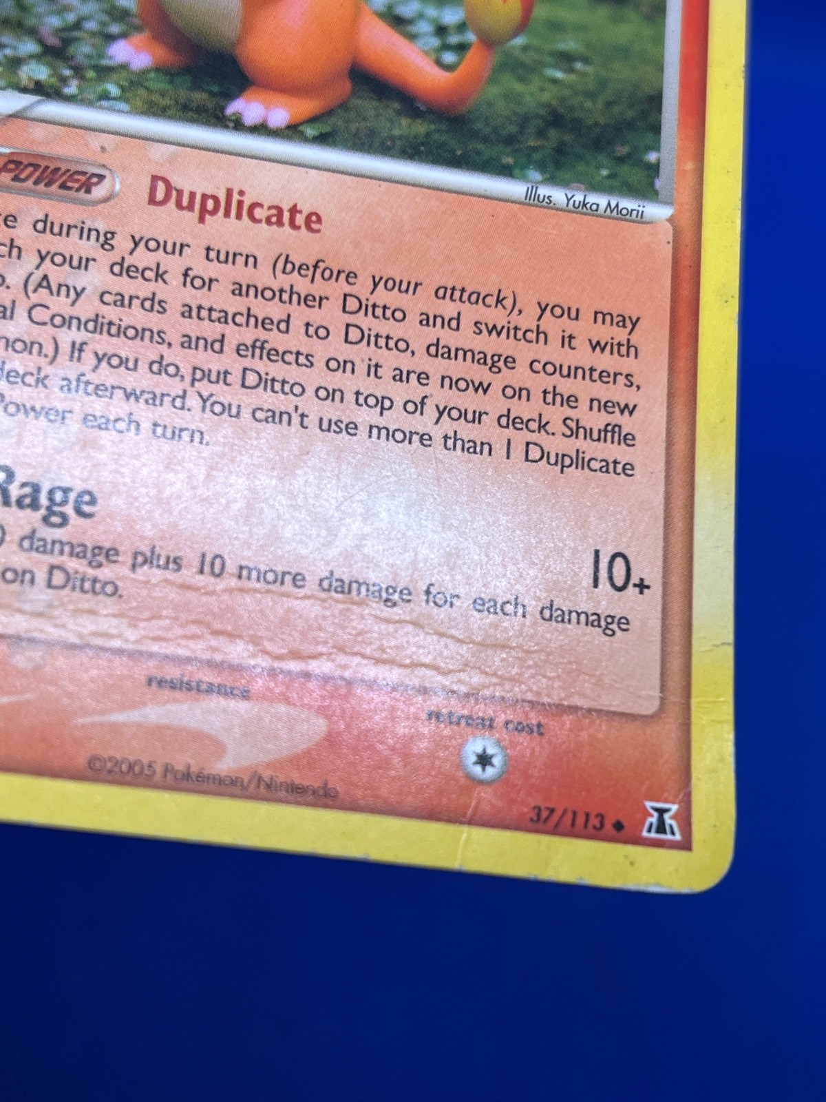 VTG 2005 Pokemon EX Delta Species Ditto Charmander 37/113 Regular Uncommon DMG