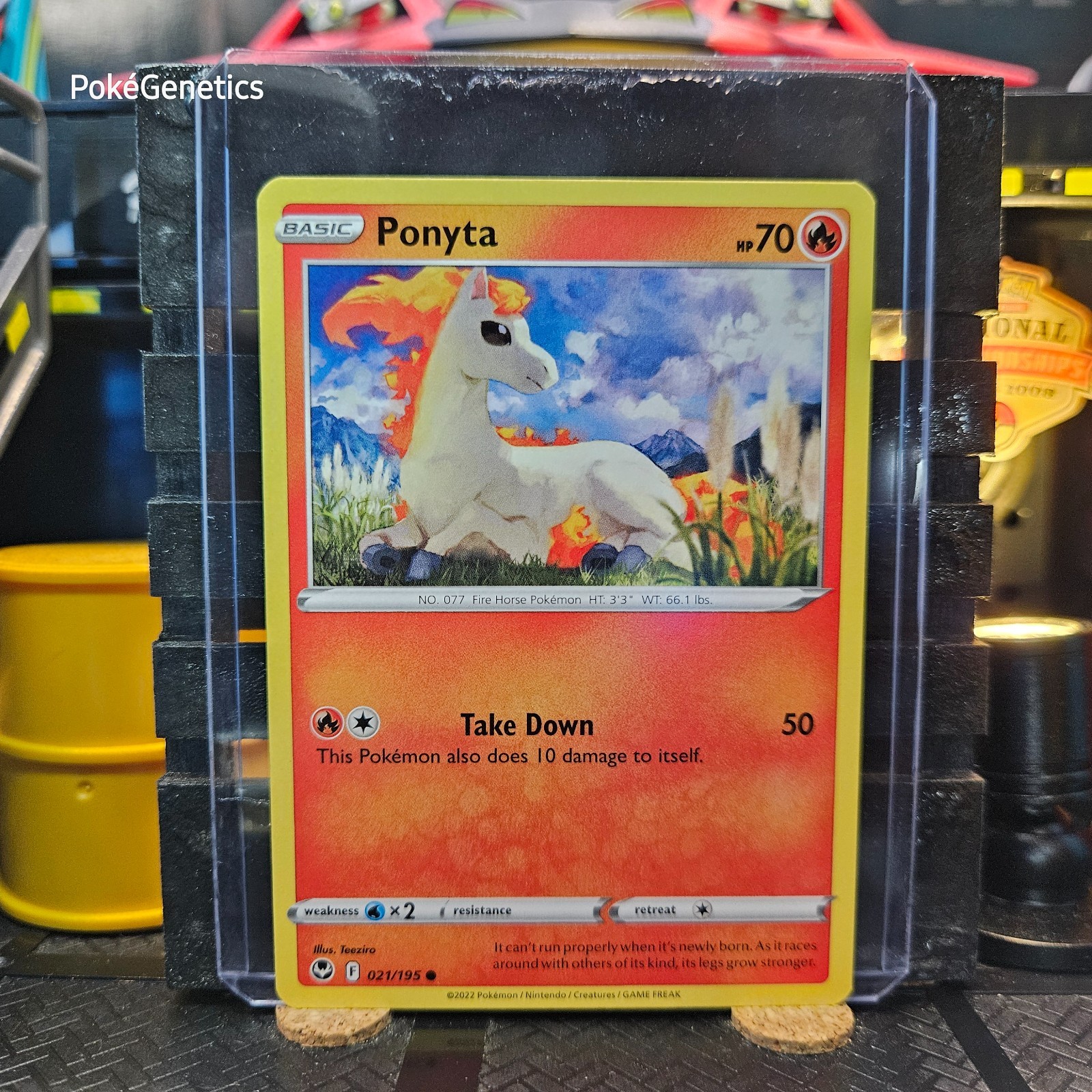 Ponyta Silver Tempest Pokémon TCG 021/195 Sword & Shield SWSH12 Common