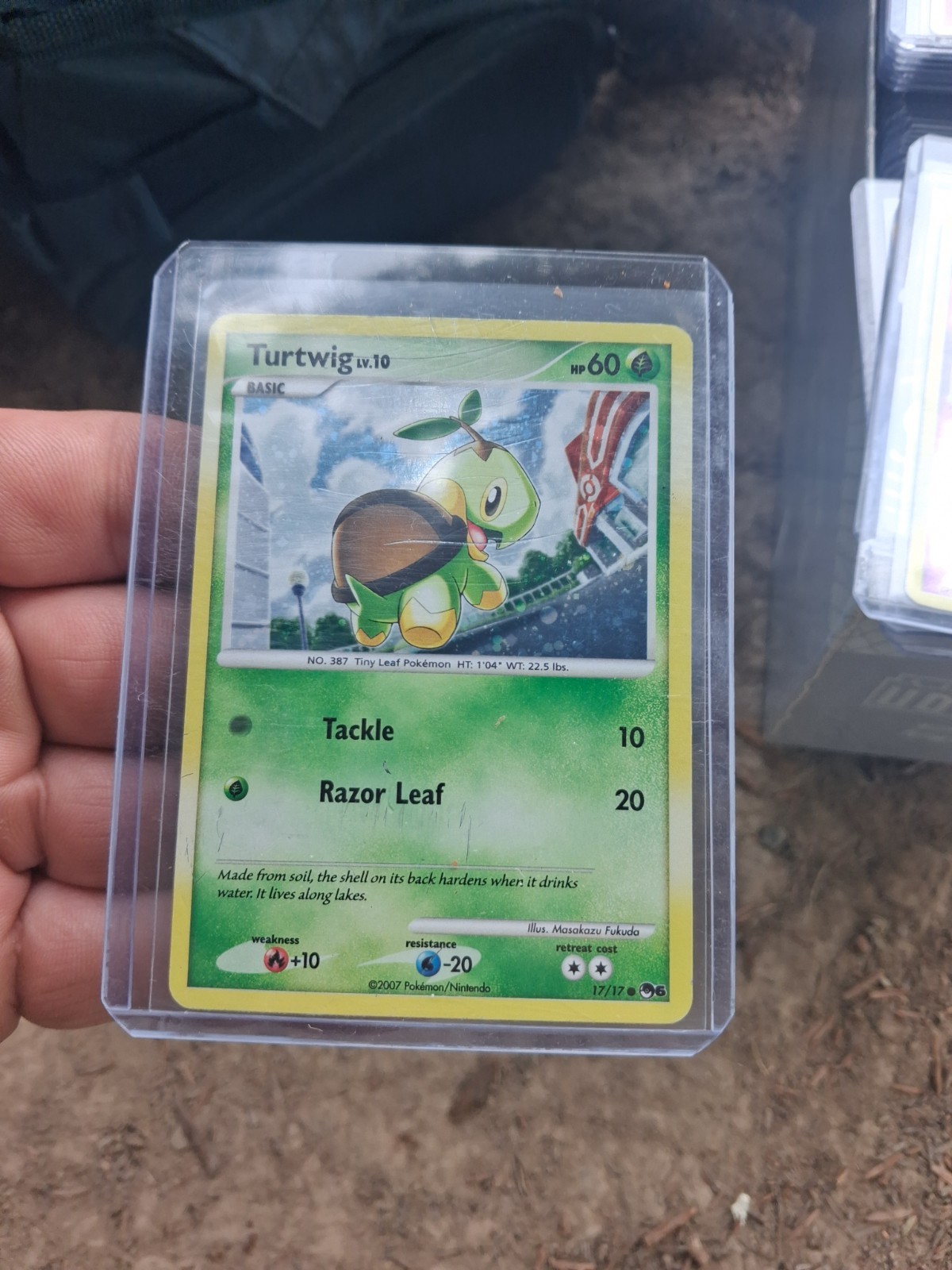 Turtwig 17/17 – Common – POP Series 9 – Moderately Played