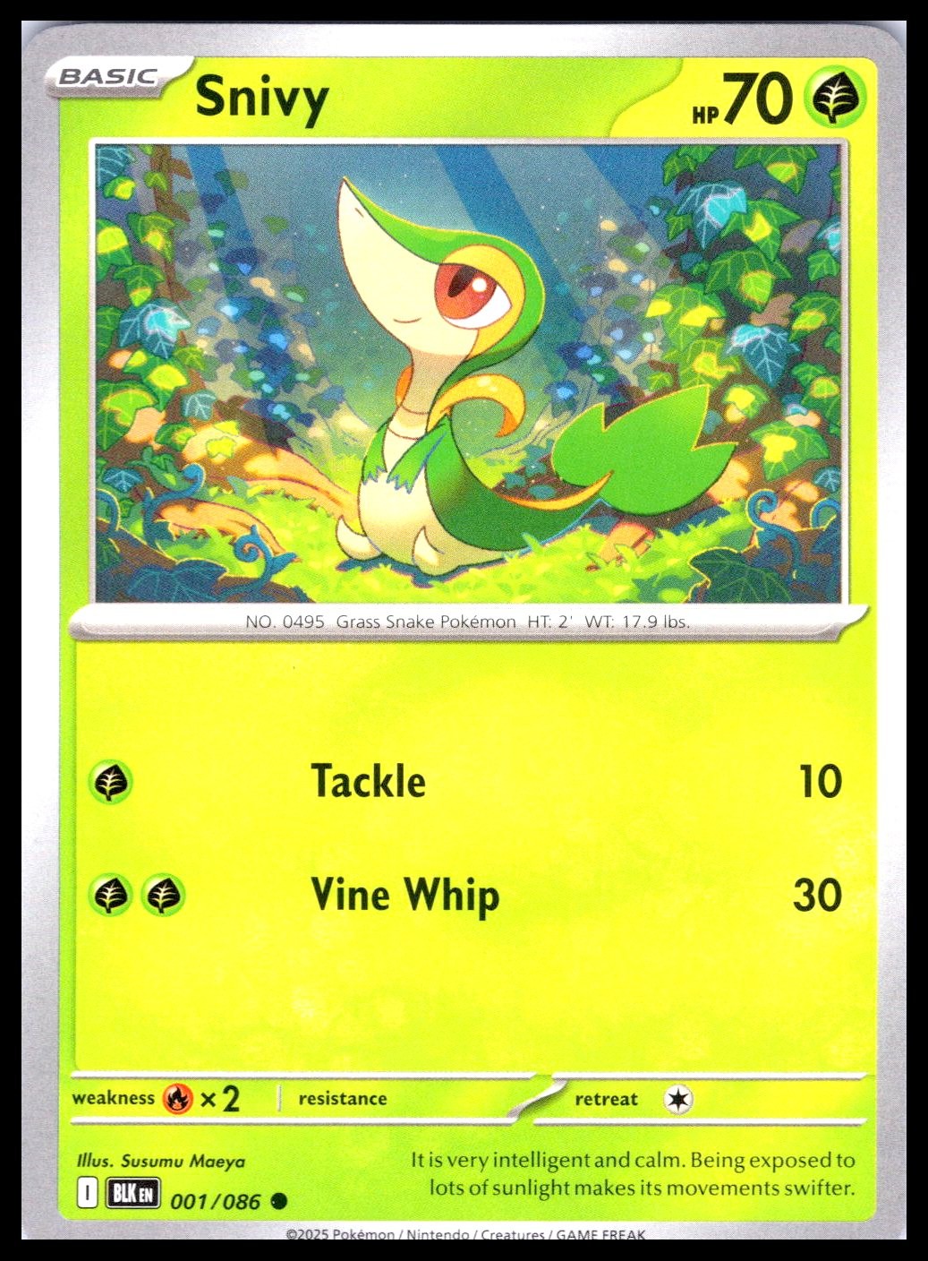 SNIVY – Pokemon – Susumu Maeya 001/086 BLK Black Bolt – NM/M