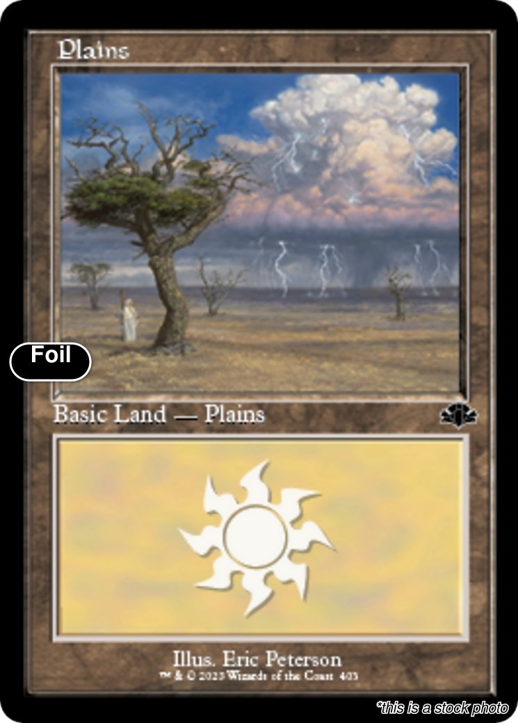 MTG Plains (Retro Frame) [DMR – 403] LP Foil