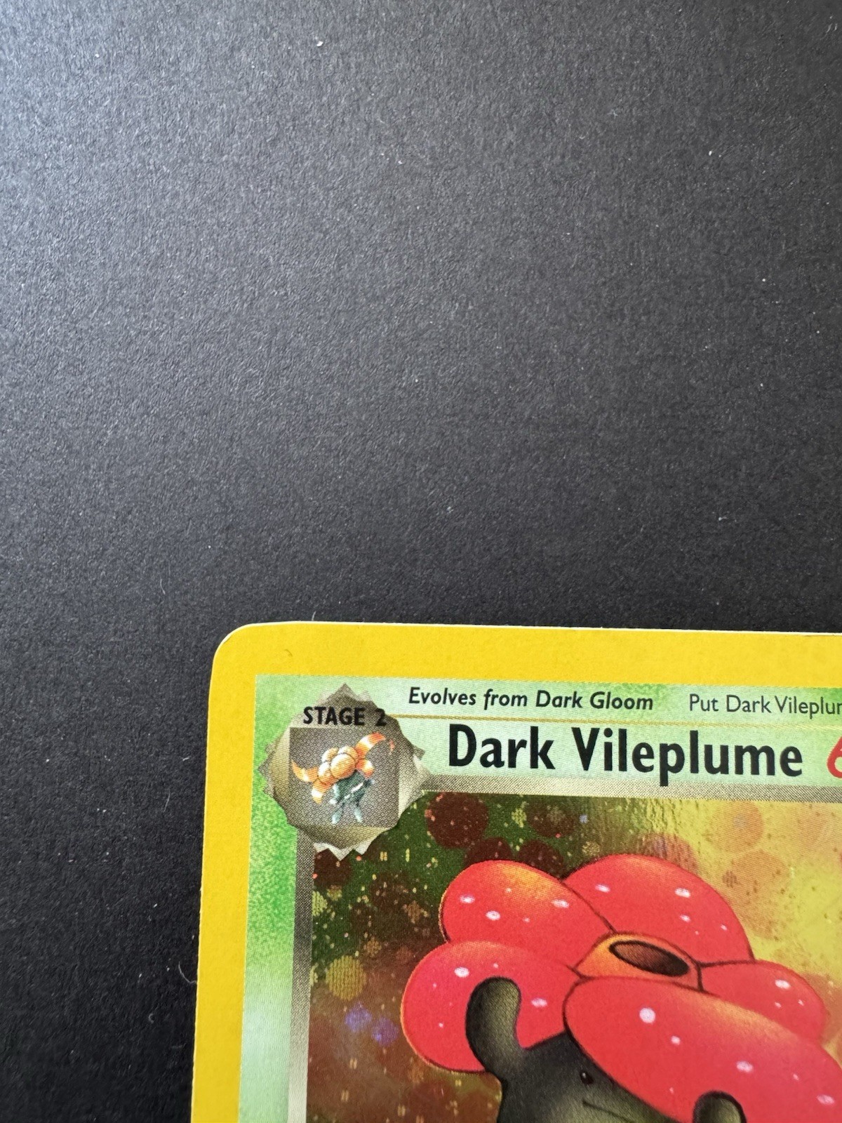 Dark Vileplume 1st Edition Team Rocket 13/82 Holo *W/ SWIRL* Rare Pokemon TCG