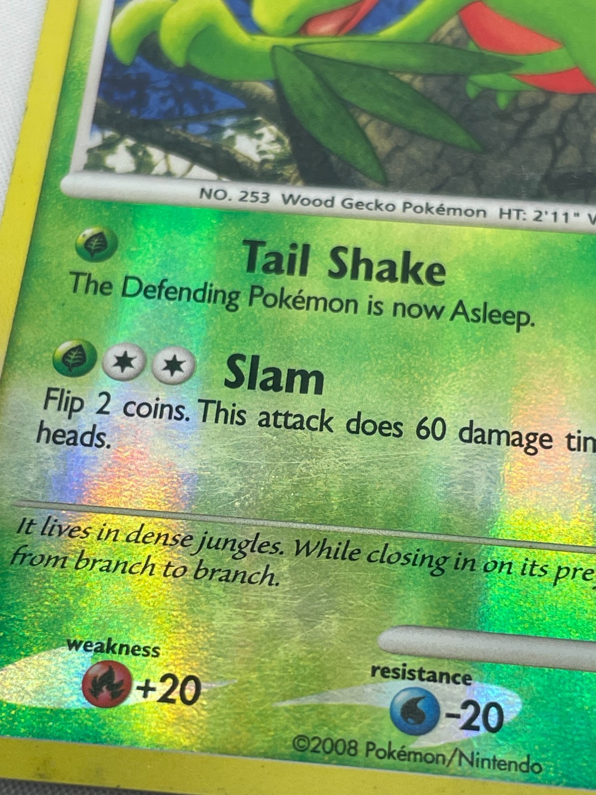 Grovyle Reverse Holo Stormfront 39/100 MP Pokémon TCG