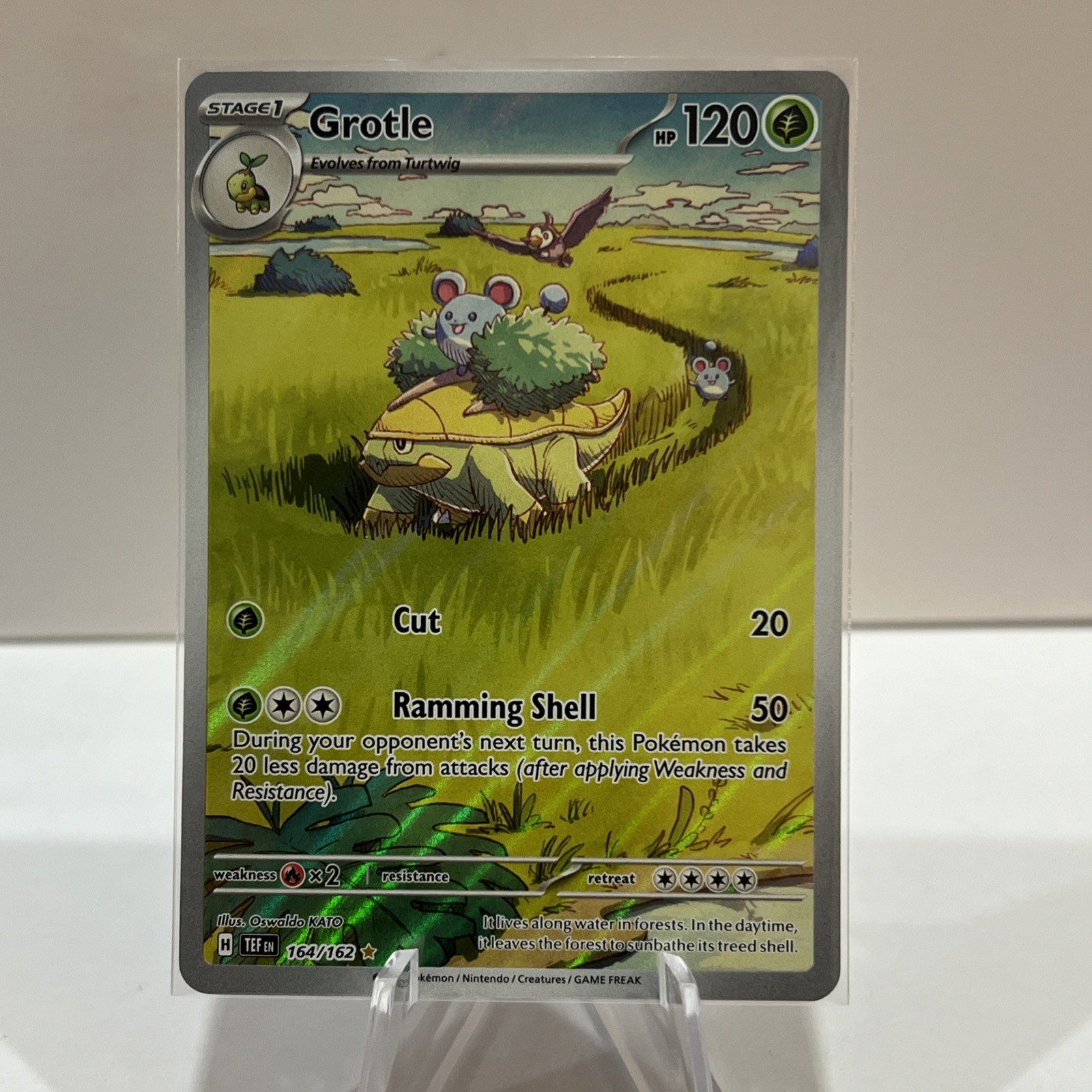 Grotle 164/162 SV05: Temporal Forces Holo. NM