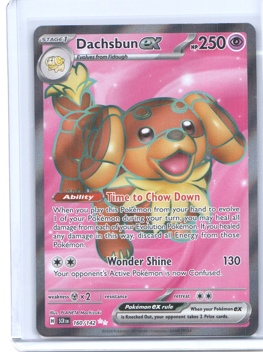 Dachsbun ex – 160/142