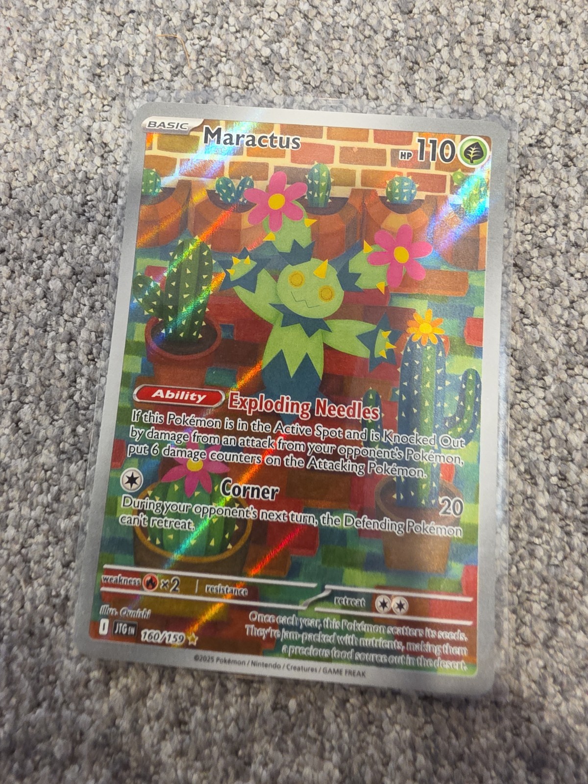 Maractus 160/159 Illustration Rare Journey Together Pokemon Holo Near Mint