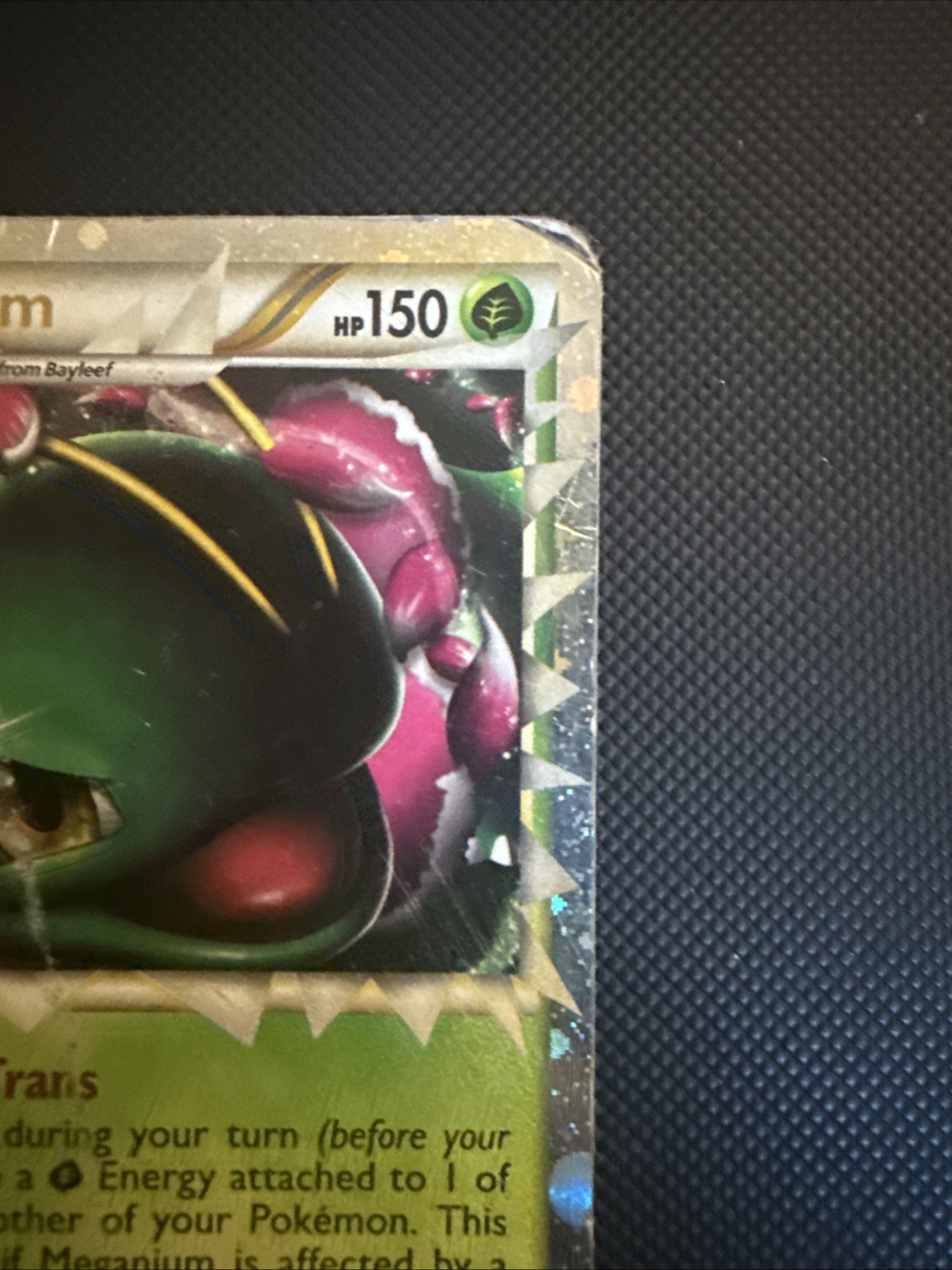 Meganium Prime HGSS08 Hgss Promo Holo English 2010 Stage 2 HP 150 Solarbeam