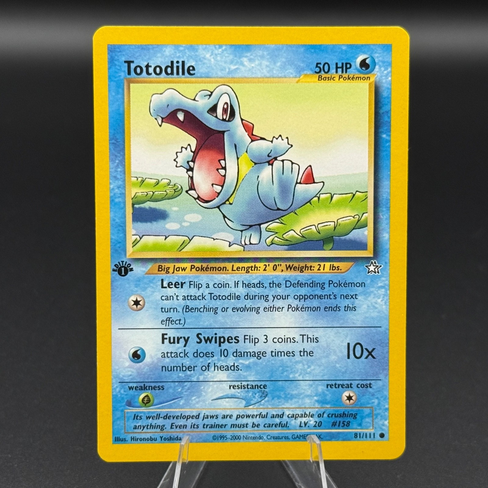 Totodile (81) 1st edition Common Neo Genesis 81/111 NM Hironobu Yoshida