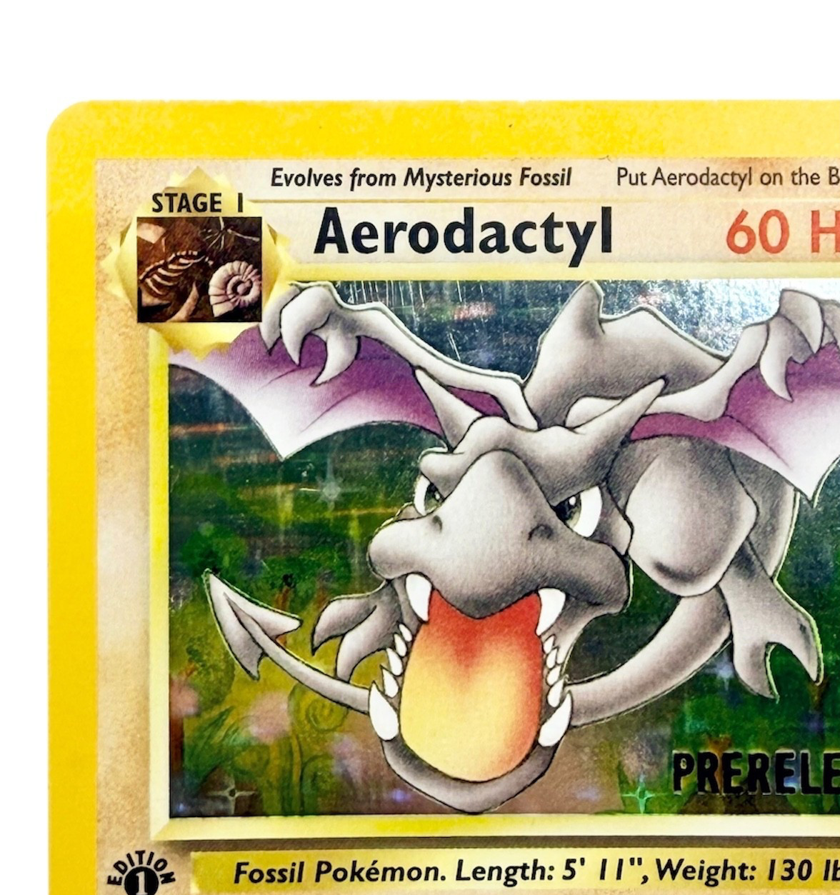 Pokemon TCG Aerodactyl 1st Edition (Prerelease) Fossil 01/62 WoTC Promo Holo