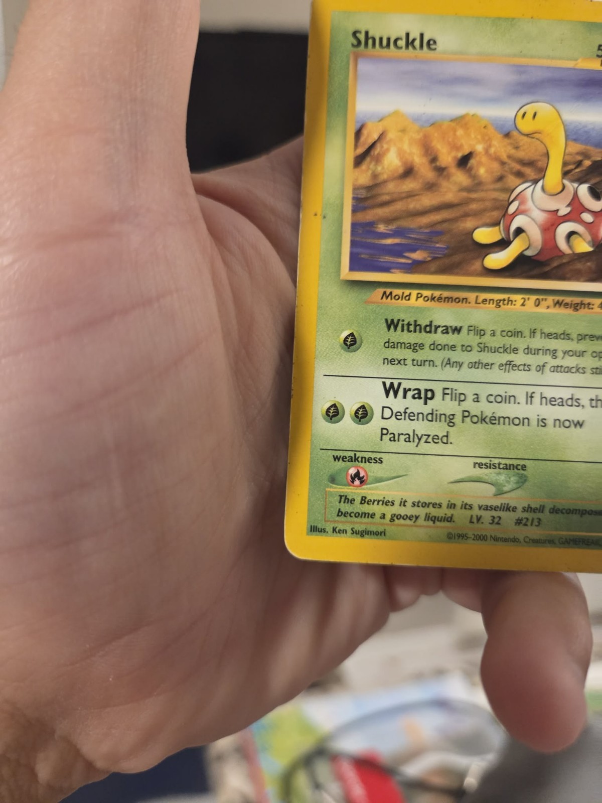 Shuckle 72/111 Neo Genesis Regular