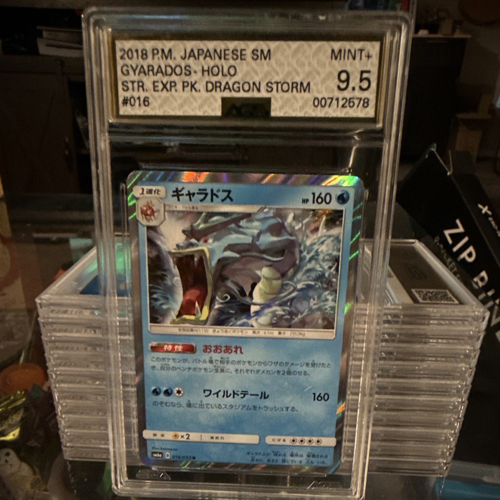 The Pokémon Company Gyarados 016 SM6a Dragon Storm Holo Japanese 2018 AGS 9.5