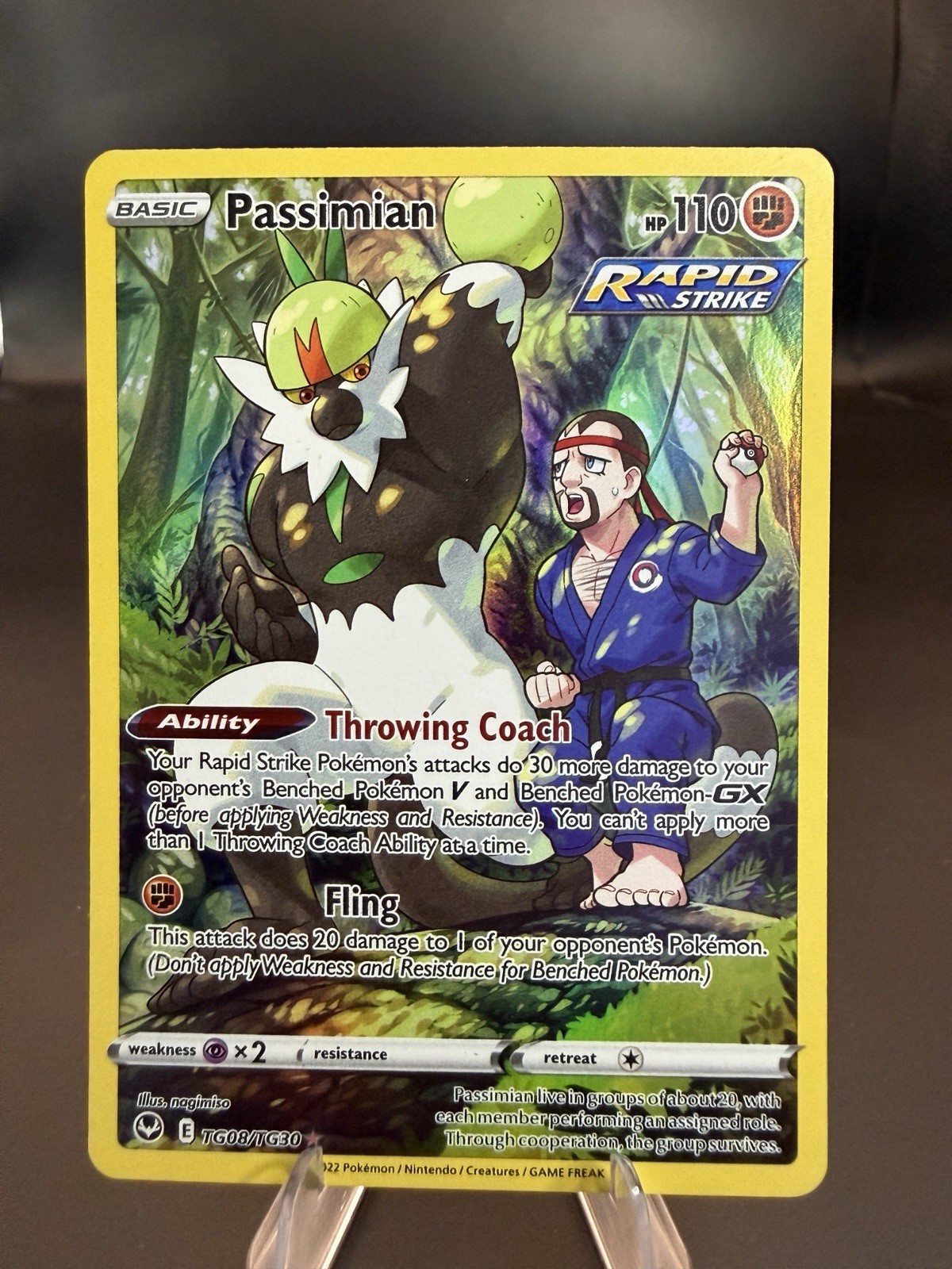 Passimian Pokemon Silver Tempest Trainer Gallery TG08/TG30 Character Rare NM