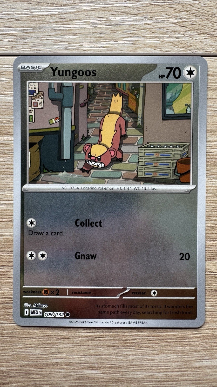 Pokémon Yungoos 109/132 – ME01: Mega Evolution Common Reverse Holo Card NM