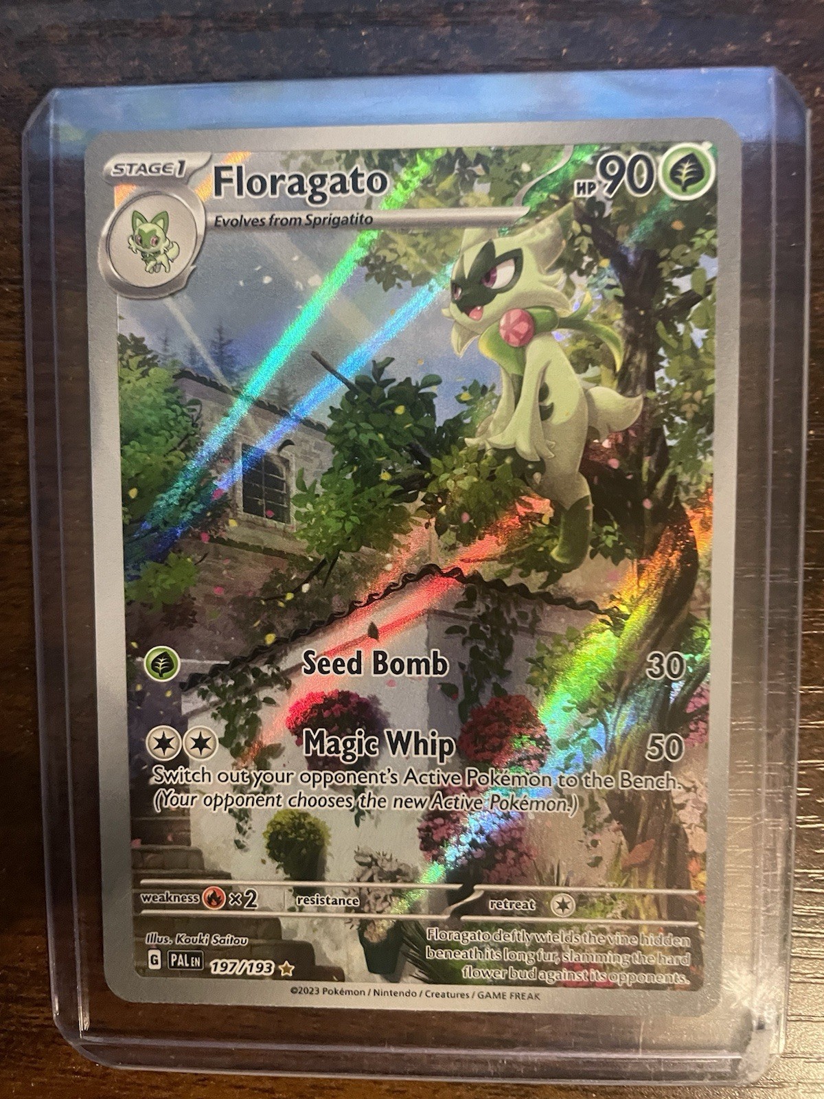 Floragato Holo Illustration Rare Paldea Evolved Pokémon TCG 197/193