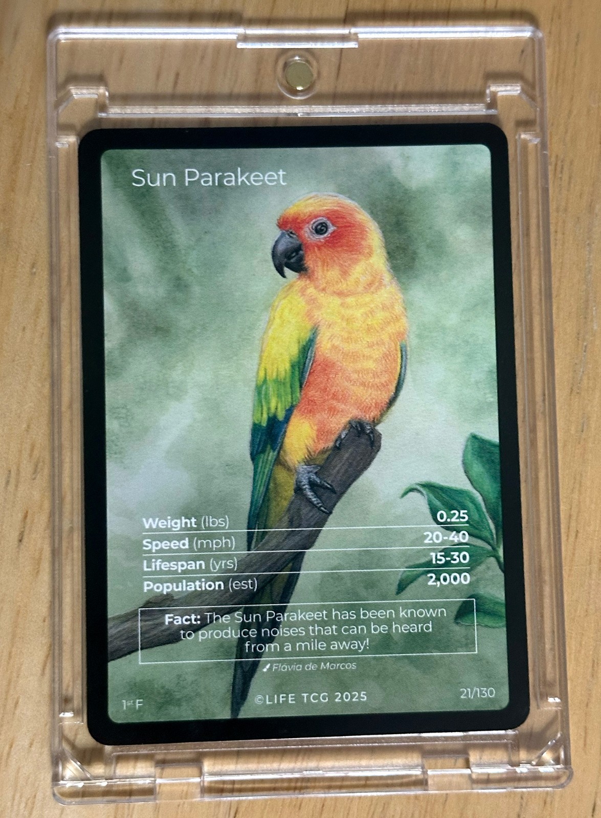 🔥Sun Parakeet Life TCG – Birds 1st Edition Full Art Population 200