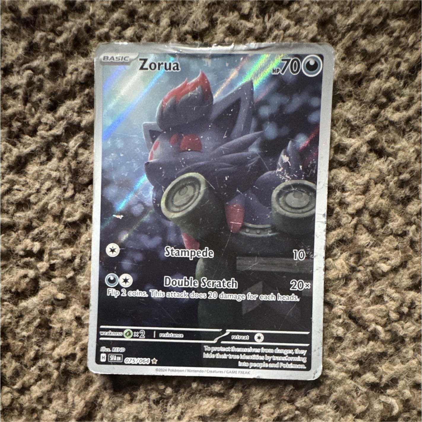 Pokemon TCG Zorua 075/064 Shrouded Fable Holo Common 70 HP English 2024