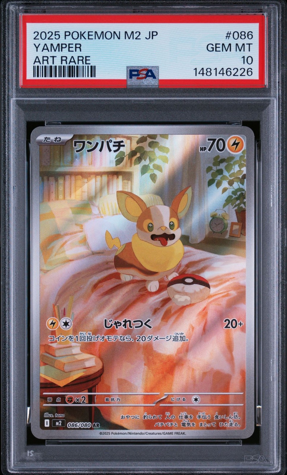 PSA 10 Yamper AR 086/080 Sword Shield Japanese Pokemon Card Gem Mint Slab