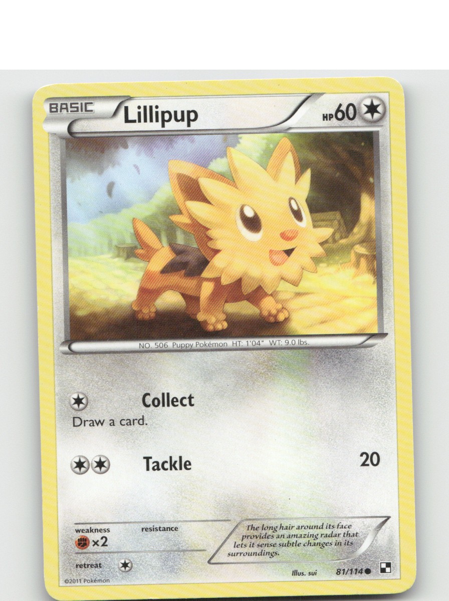 Lillipup (81) Black and White [BLW – 81/114]
