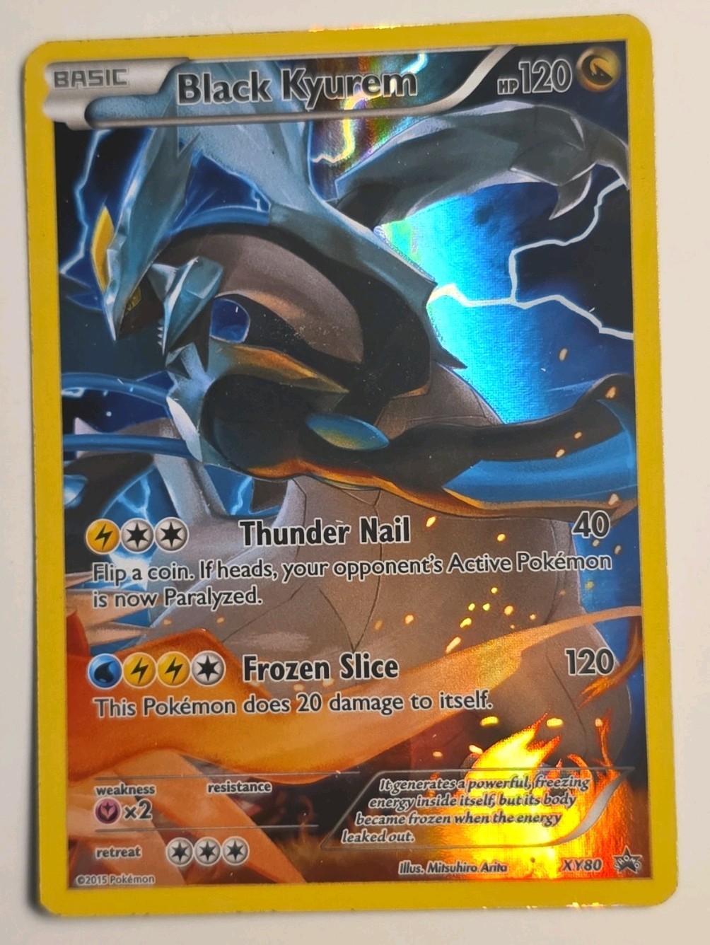 Pokémon Black Kyurem XY80 XY Promo Holo English Basic 120 HP Card