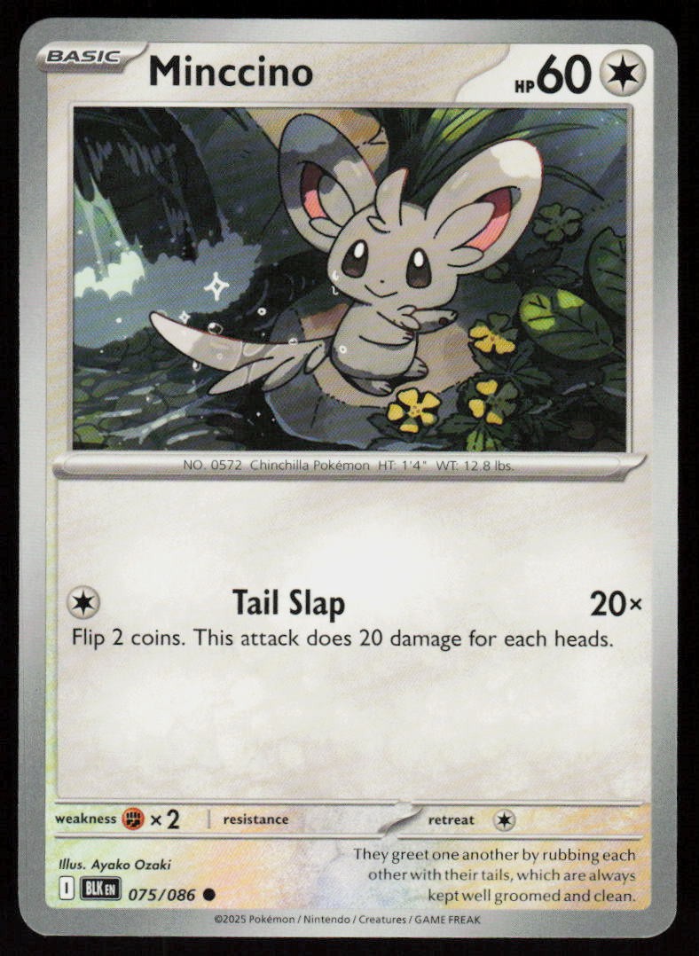 Minccino 075/086 Common Black Bolt Pokemon Near Mint