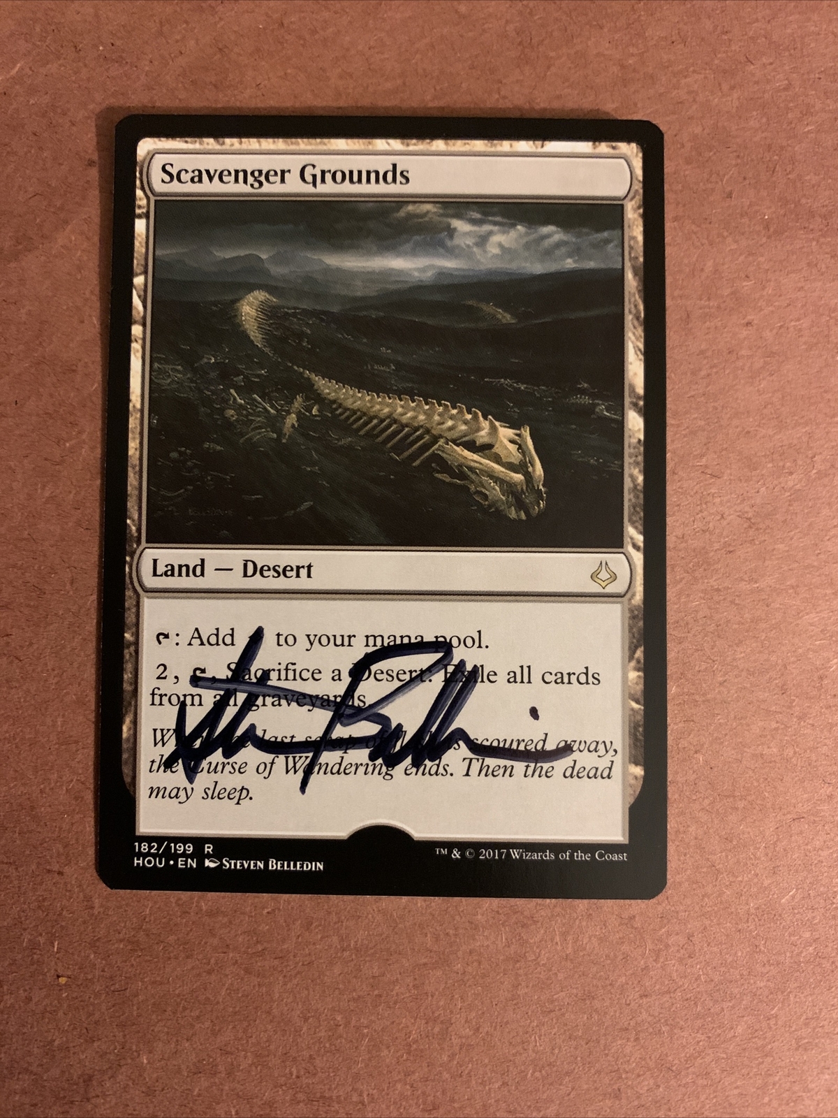 MTG Magic Scavenger Grounds Signed Artist Proof x1 HOU Steven Belledin