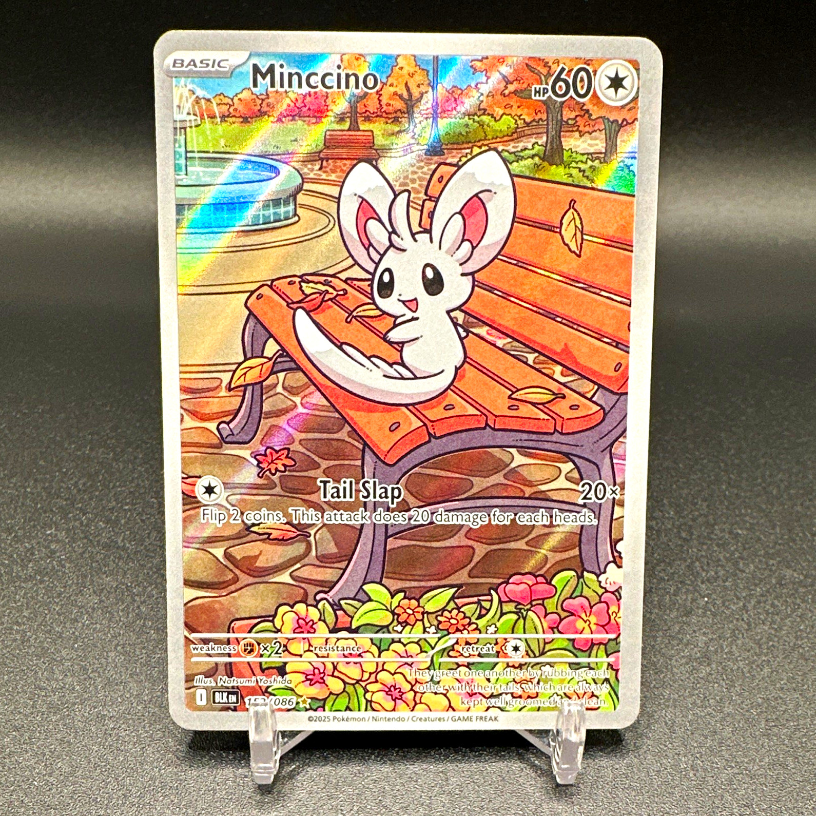 Minccino 152/086 SV: Black Bolt Illustration Rare Holo EN 60HP