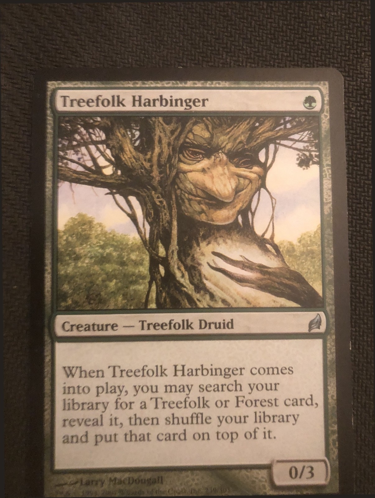 1x Treefolk Harbinger, LP, Lorwyn, MTG *FREE SHIPPING*