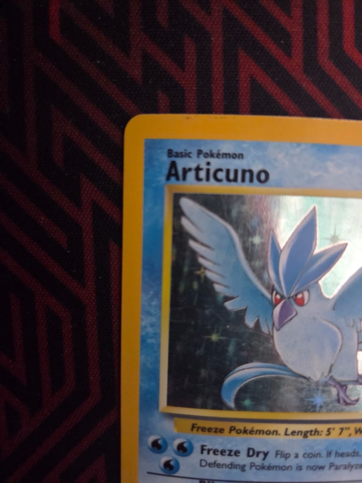 Articuno Fossil 2/62 Holo