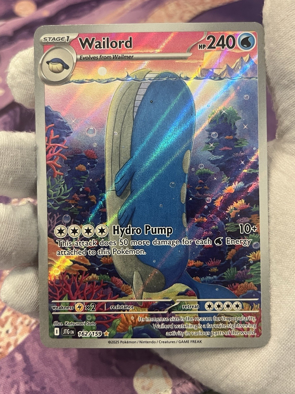 Pokémon TCG Wailord 162/159 Journey Together Holo Illustration Rare LP