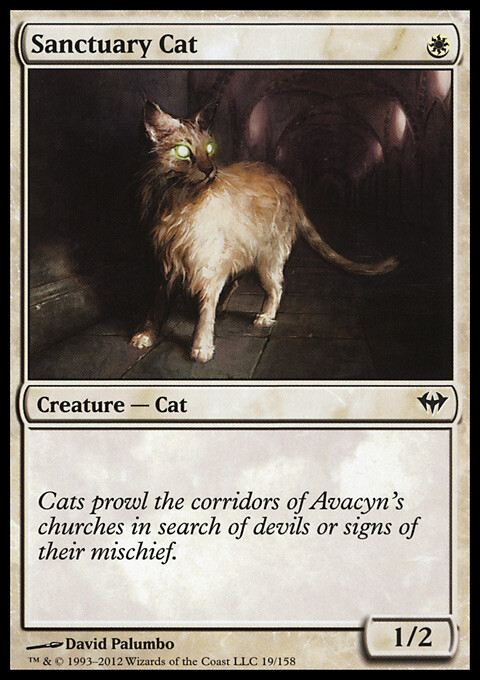 MTG Magic the Gathering Sanctuary Cat (19/175) Dark Ascension LP