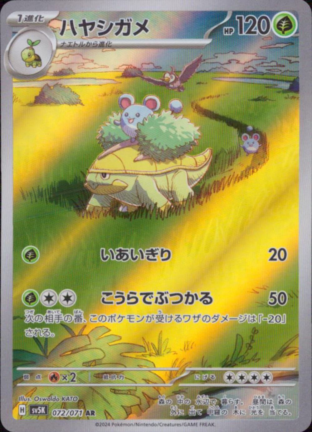 Grotle AR 072/071 Pokemon Japanese