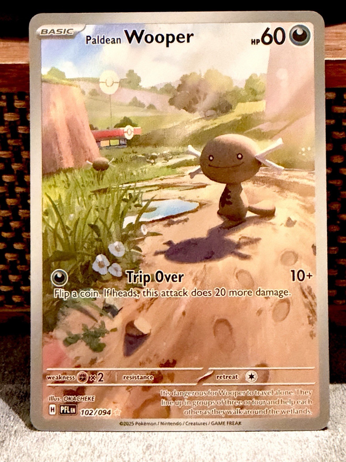 Paldean Wooper 102/094 Paldean Fates Illustration Rare Holo Pokemon TCG NM LP