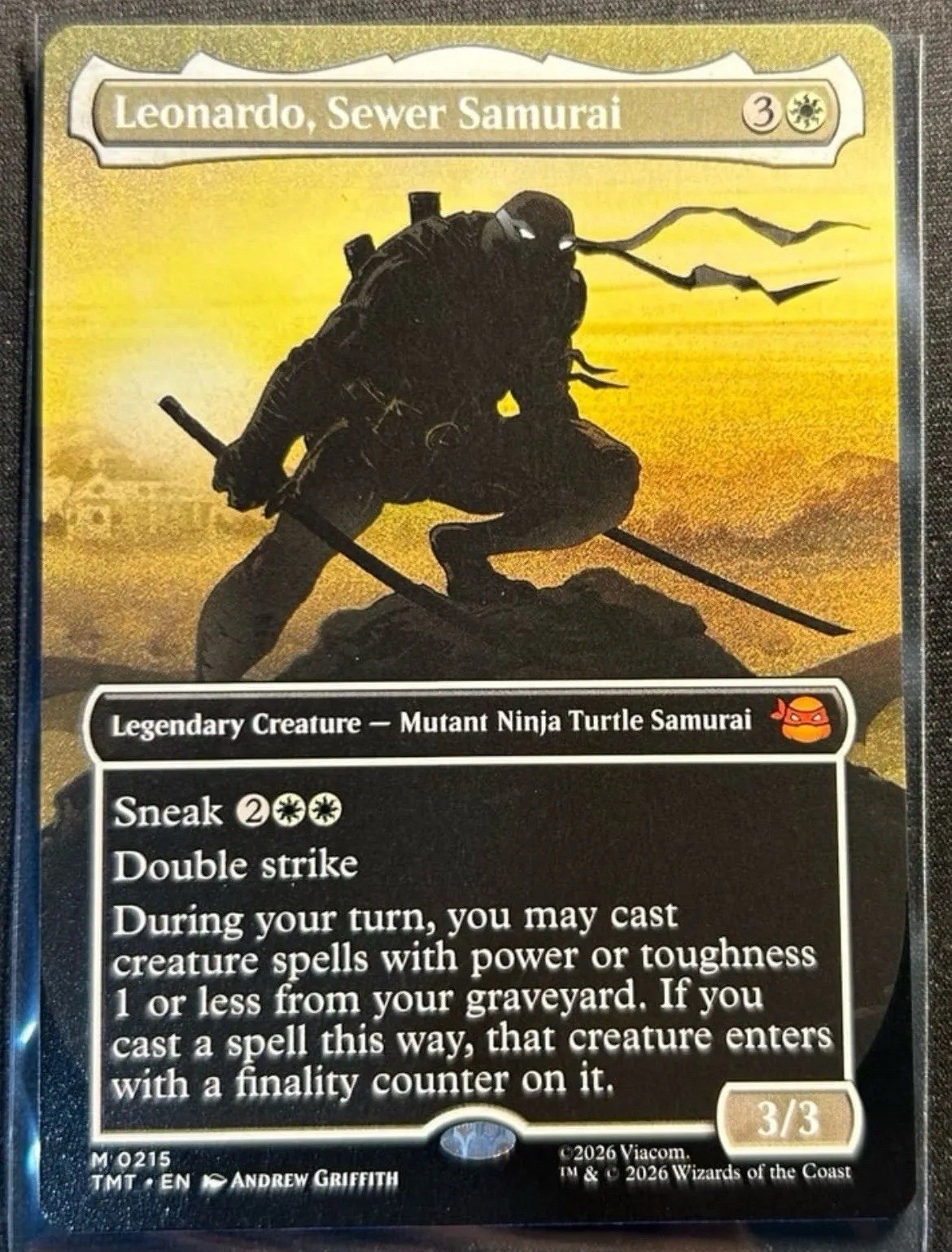 Leonardo, Sewer Samurai (Borderless) M 0215 TMT