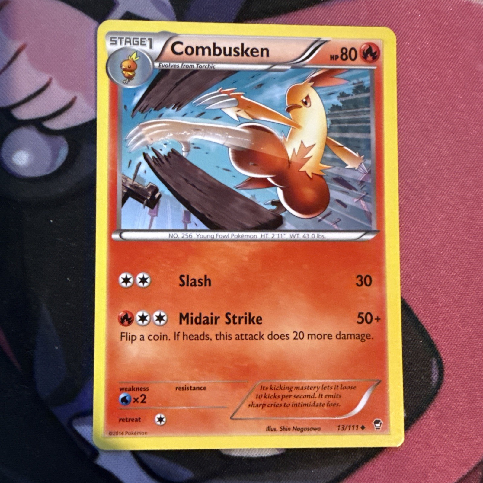 Pokémon TCG LP Furious Fist Combusken 13/111