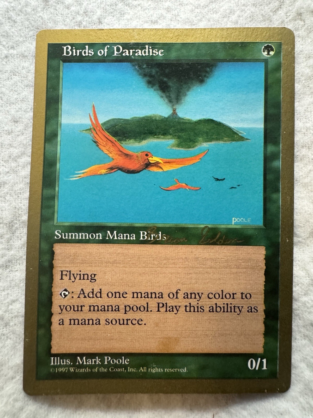 MTG – Birds of Paradise – 1998 Brian Selden World Champ – HP/DMG – Regular – EN