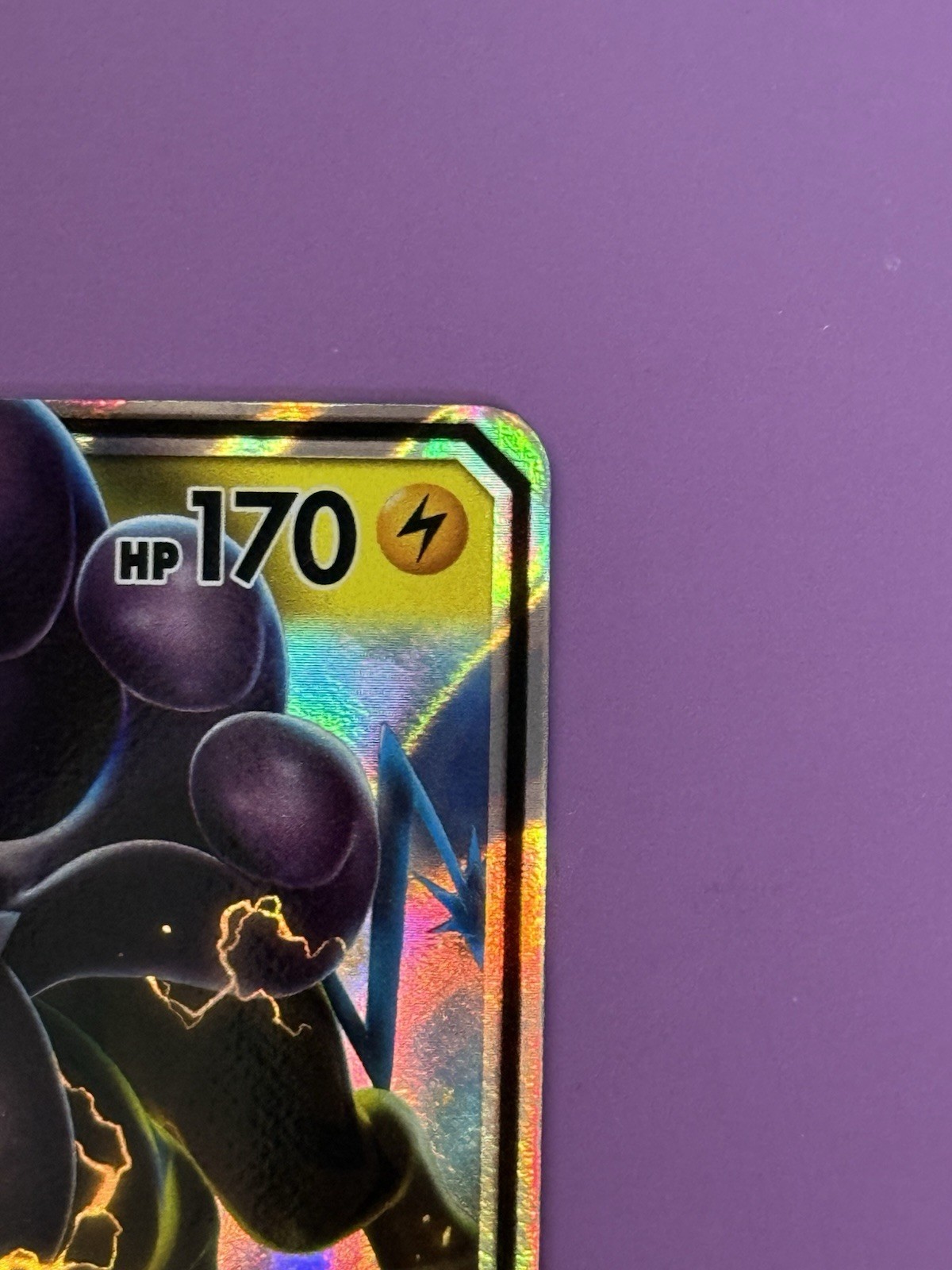 Pokémon TCG Raikou GX SM121 Black Star Promo Card